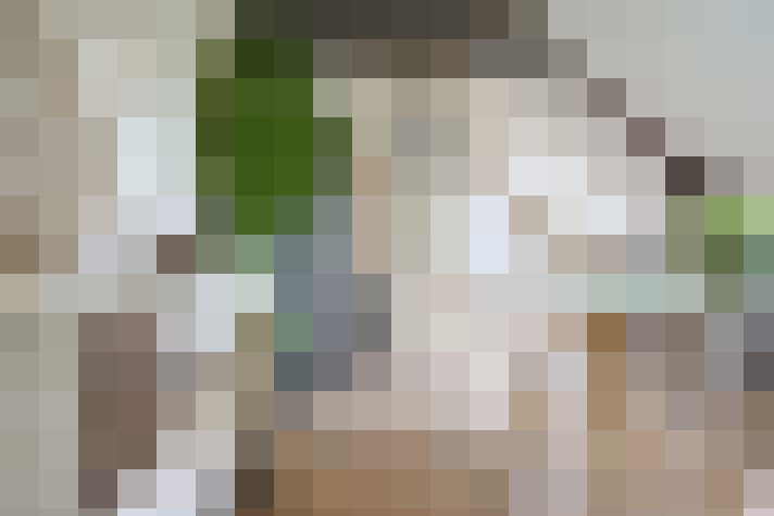  / #20