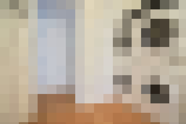  / #27