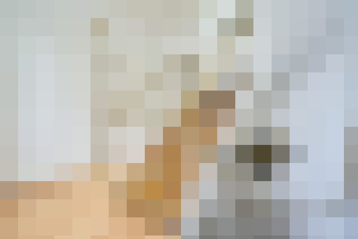  / #31
