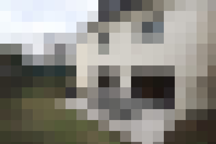  / #9