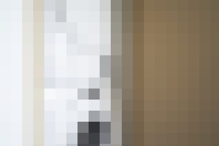  / #15