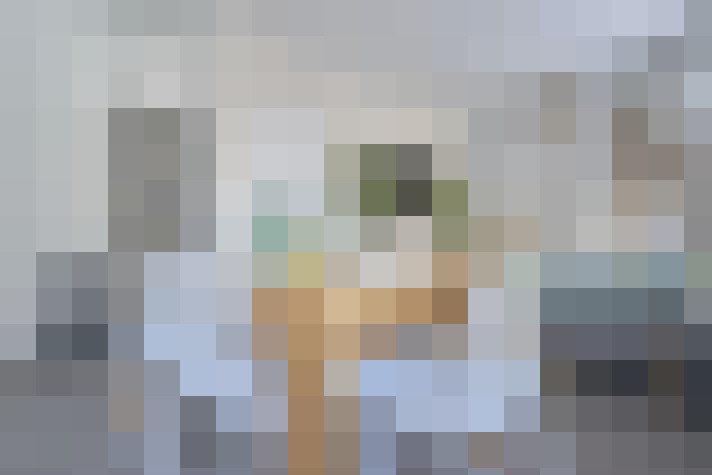  / #14