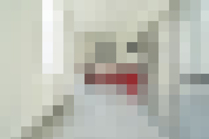  / #19