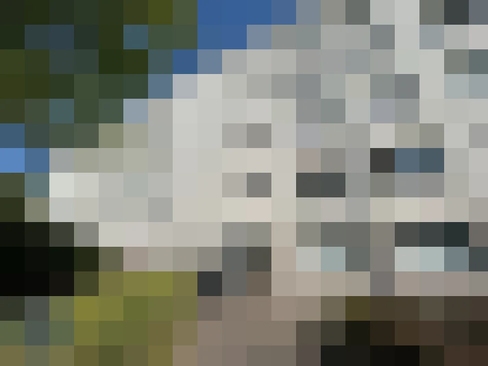  / #15