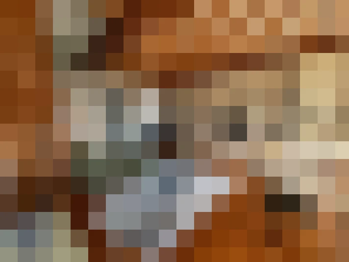  / #20