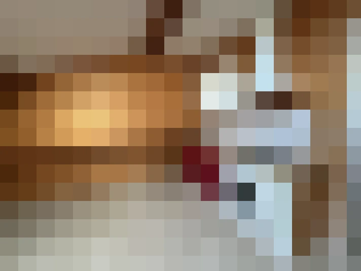 Appartement à Limoux