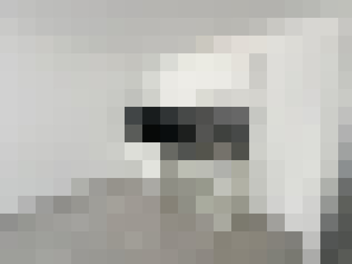  / #29