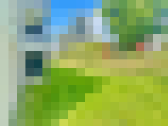  / #17
