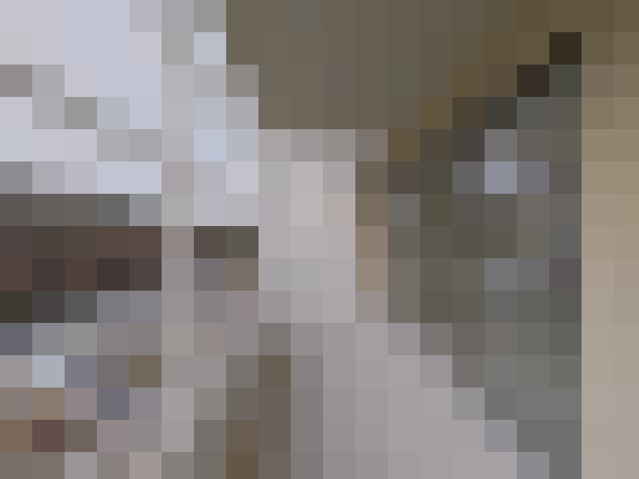  / #7