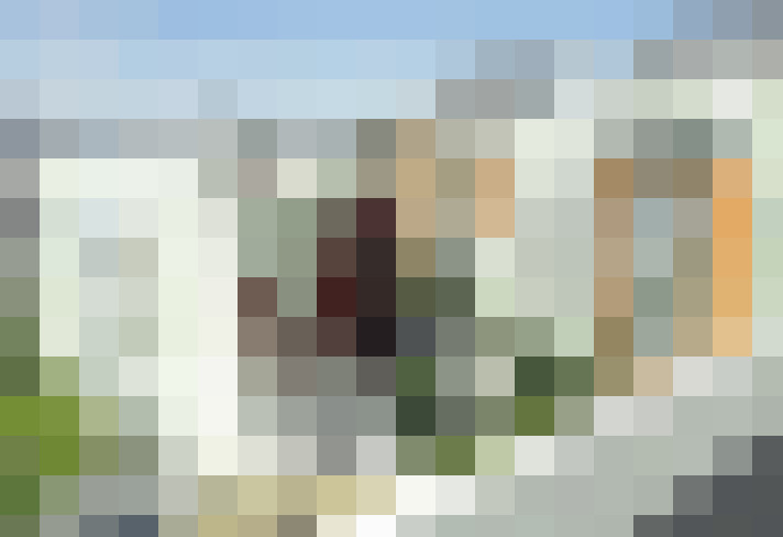  / #16