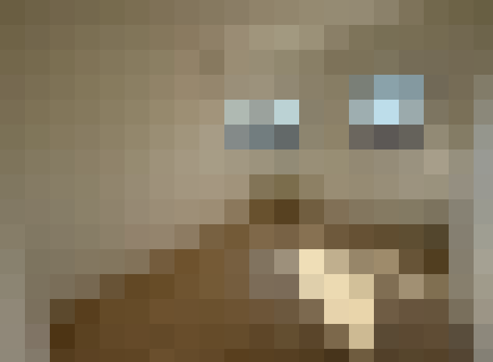  / #6