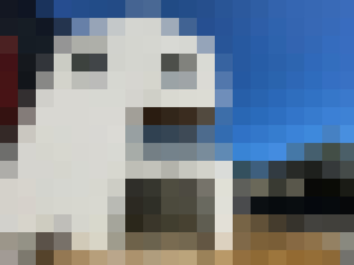  / #9
