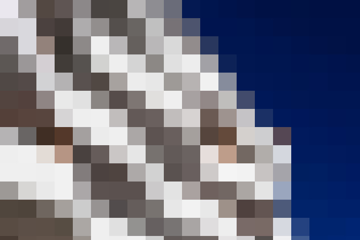  / #12
