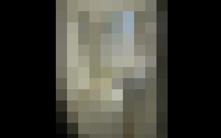  / #15
