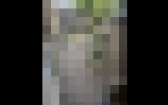  / #17