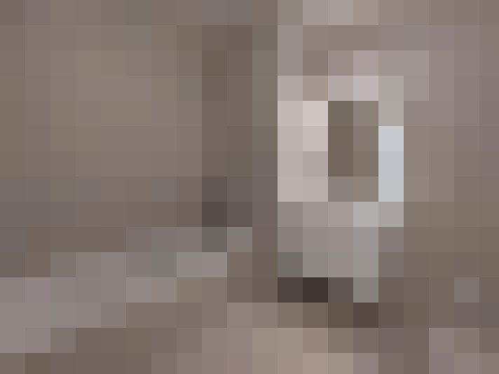  / #6