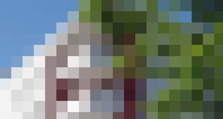  / #13