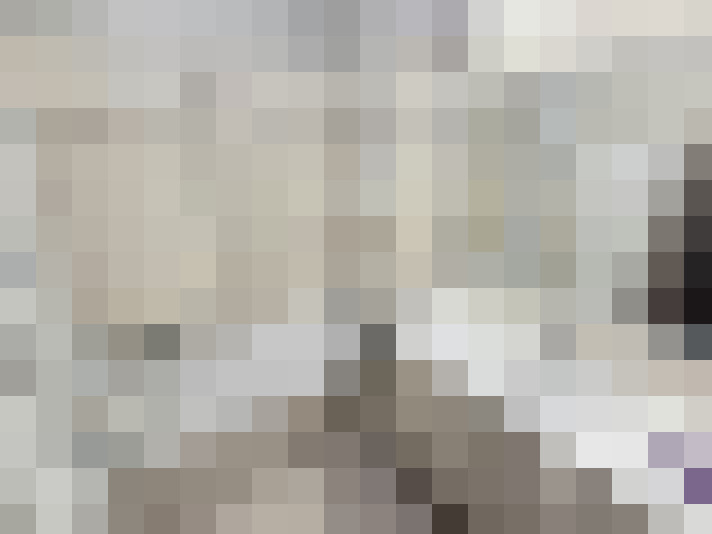  / #14