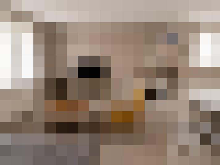  / #7