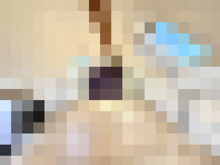  / #17