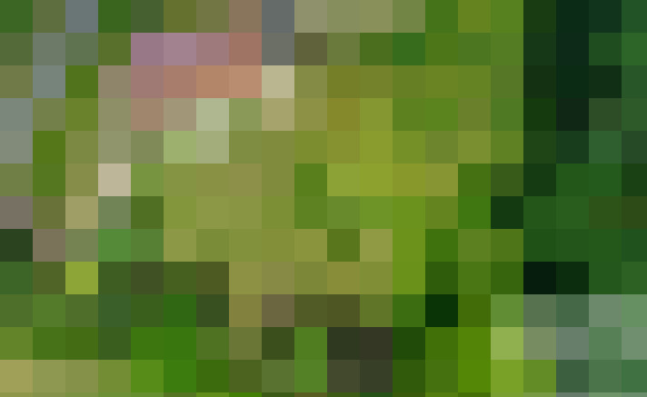  / #19
